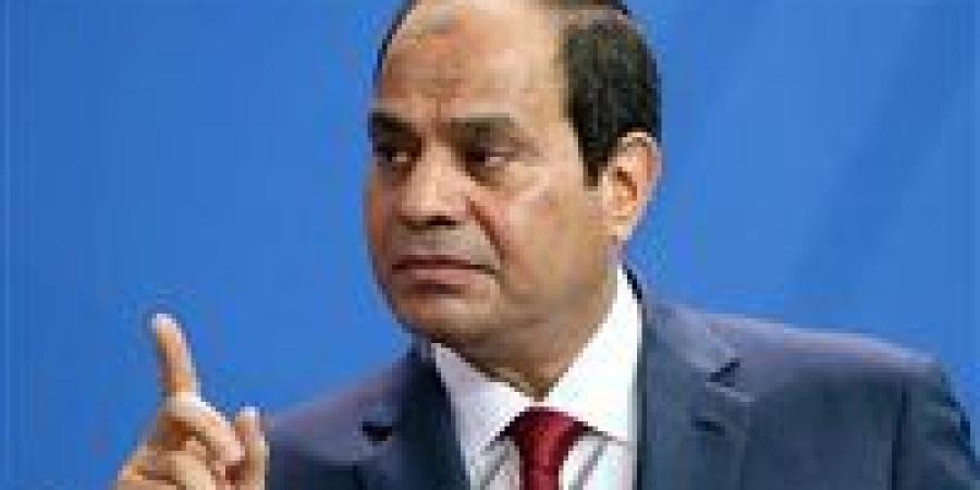 السيسي يؤكد على قوة وحدة الصف العربي ويوجه رسالة حاسمة بشأن علاقات مصر بالدول العربية - بلس 48