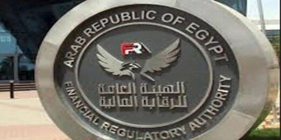 هيئة الرقابة المالية تصدر أول معايير مصرية للتقييم المالي للأصول غير الملموسة - بلس 48