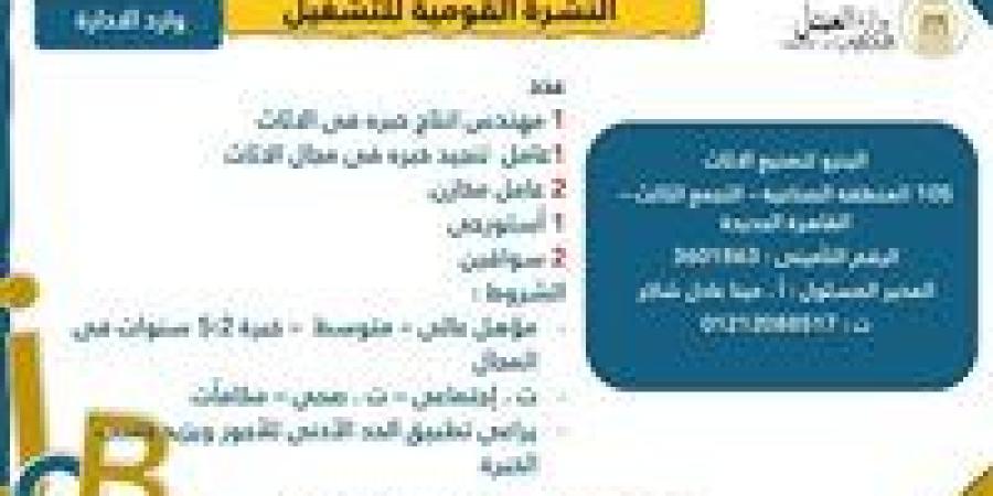 3633 فُرصة عمل جديدة نتظر الشباب فى 10محافظات.. التفاصيل الكاملة - بلس 48