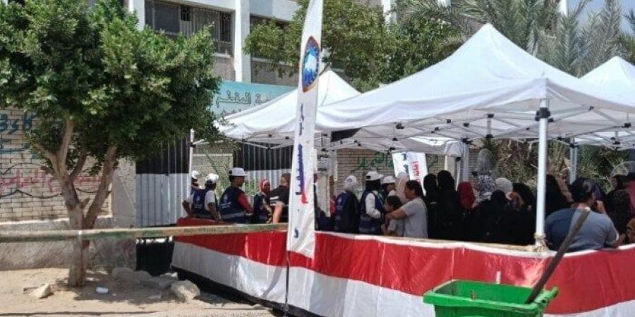 تتضمن محاضر الفرز.. بدء تسليم نتائج انتخابات مجلس الشيوخ 2025 - بلس 48