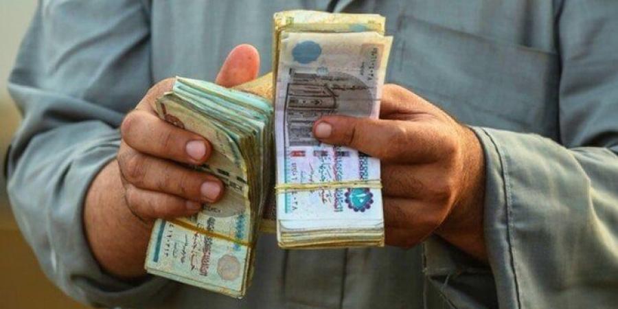 خبراء يتوقعون هبوط معدل التضخم في مصر وتأثيره على قرار «المركزي» - بلس 48