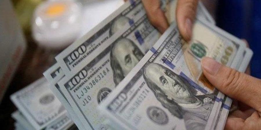 الداخلية: ضبط قضايا اتجار في العملات الأجنبية بقيمة 4 ملايين جنيه - بلس 48