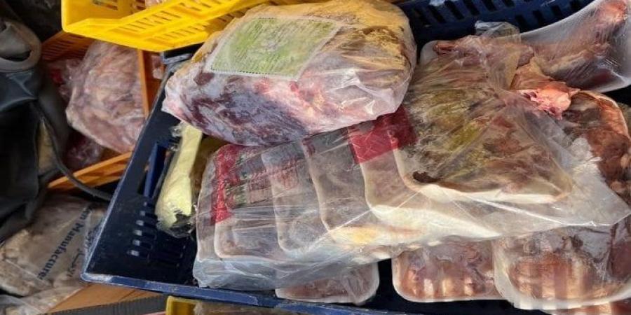 ضبط 100 كيلو بانيه واستربس وأجزاء دجاج فاسدة في المنوفية - بلس 48