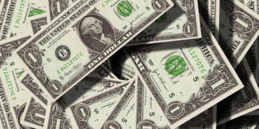 بكام النهاردة؟.. أسعار الدولار في مصر اليوم الجمعة 8 أغسطس 2025 - بلس 48