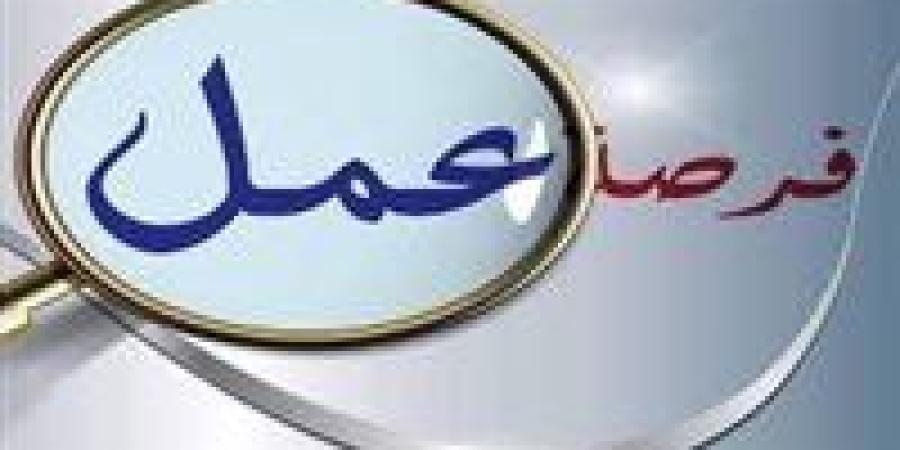 بنك القاهرة يعلن عن وظائف شاغرة لعام 2025 - بلس 48