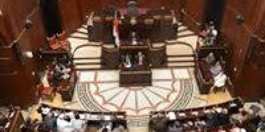 أربع رموز بقيادة الكرة المصرية في مجلس الشيوخ القادم - بلس 48