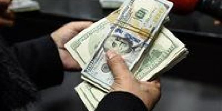 ضبط قضايا اتجار بالعملات الأجنبية بقيمة تتجاوز 5 ملايين جنيه خلال 24 ساعة - بلس 48