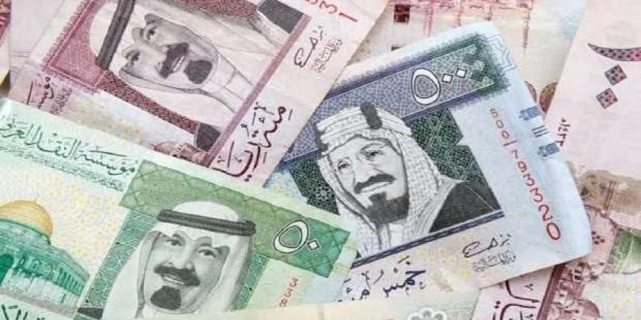 سعر الريال السعودي مقابل الجنيه المصري اليوم الاثنين 11 أغسطس 2025 - بلس 48