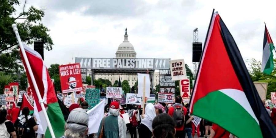 قاض
      أمريكي:
      منع
      التضامن
      مع
      فلسطين
      غير
      قانوني - بلس 48