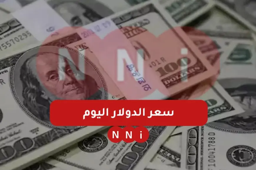 أعلى سعر للدولار اليوم في السوق السوداء الاثنين 13 يناير 2025 سعر الدولار اليوم في البنوك - بلس 48