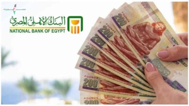 أفضل شهادات الإدخار في مصر لعام 2026 بمعدلات فائدة تصل إلى 22 في المئة