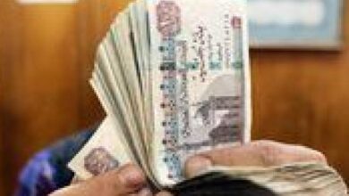 عائد يصل إلى 22%.. لماذا تتجه الأنظار إلى شهادات البنك الأهلي؟