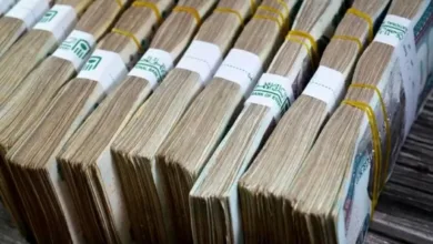 دخل ثابت وعوائد مرتفعة.. ننشر أفضل شهادات ادخار لكبار السن وأصحاب المعاشات 2026