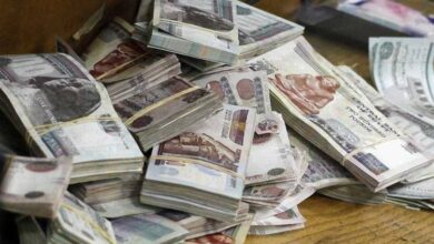 172 ألف جنيه سنويًا.. تفاصيل شهادات الادخار ذات العائد الثابت 17.25% في البنوك