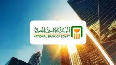 أحمد السعيد: أصول البنك الأهلي تتخطى 9 تريليونات جنيه.. ونستثمر 70 مليارًا في 130 شركة | بنوك