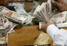 أعلى شهادات البنك الأهلى 2026 من حيث العائد والمزايا