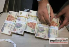 أعلى عائد في 2026.. تفاصيل شهادة الادخار سند الجديدة بعد قرار المركزي (أرباح الـ100 ألف كام؟)