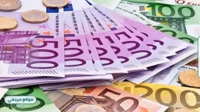 ارتفاع سعر اليورو أمام الجنيه بالبنوك المصرية اليوم