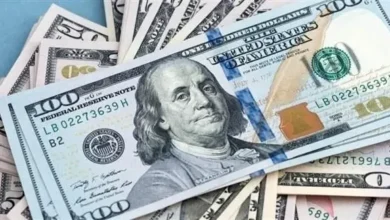 استقرار سعر الدولار أمام الجنيه المصري اليوم الأربعاء تحت سقف الـ52 جنيهاً