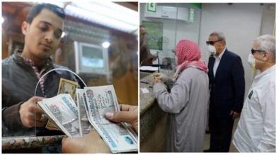 الاستعلام عن قيمة المعاش بالرقم القومي عبر موقع التأمينات