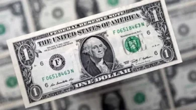الدولار يواصل الارتفاع الطفيف مقابل الجنيه في البنوك المصرية