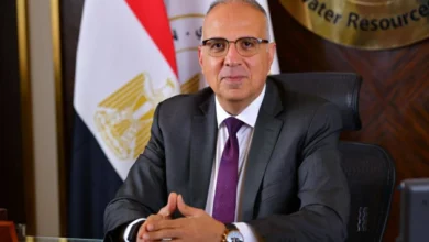 «الري»: لجنة من الخبراء لدراسة تشجير جسور الترع دون الإضرار بأعمال التبطين