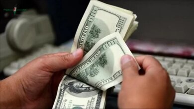 المركزي يطرح أذون خزانة بقيمة 400 مليون دولار بعد عودة البنوك للعمل