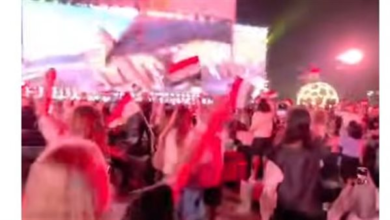 بين الرياضة والفن.. أعلام مصر تتصدر المشهد في احتفالية كأس العالم (فيديو)