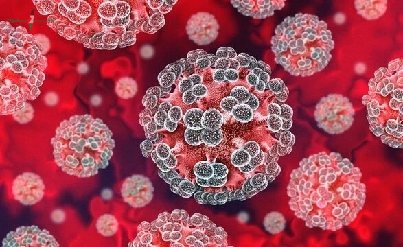 تحذيرات دولية من الخطر العالمي لفيروس هانتا القاتل وتوصيات عاجلة من الخبراء للحد من انتشاره