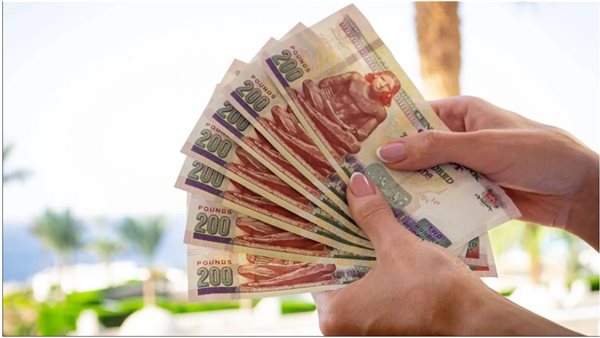 تفاصيل أرباح شهادة البنك الأهلي البلاتينية بعائد 17.25% ومبلغ 100 ألف جنيه