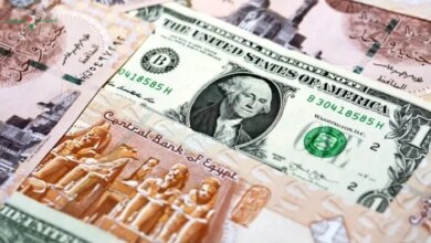 سعر الدولار اليوم الاثنين 1 يونيو 2026 في البنوك آخر تحديث
