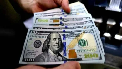 سعر الدولار مقابل الجنيه المصري اليوم في البنوك (آخر تحديث)