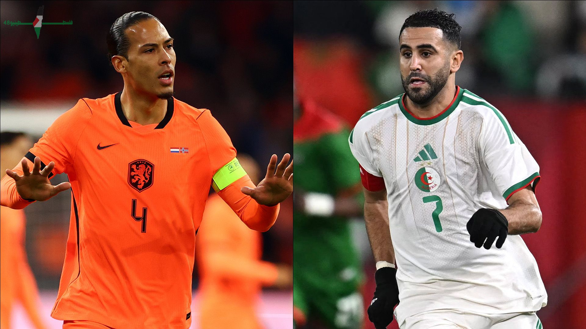 شاهد مباراة هولندا والجزائر ودية التحضيرية لكأس العالم 2026 عبر قنوات بث مباشرة على الإنترنت