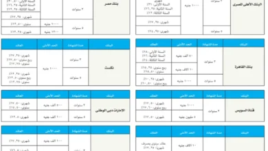 قبل استثمار مدخراتك.. خريطة أعلى عوائد شهادات الادخار في البنوك
