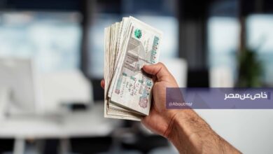 متاحة لجميع المصريين.. كيف تحصل على دخل شهري 10 آلاف جنيه من شهادات الادخار؟