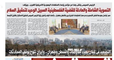 مصر تواصل جهود خفض التصعيد ودعم مسار المفاوضات غدا في اليوم السابع