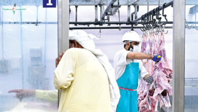 مقاصب دبي تستقبل أكثر من 18 ألف أضحية خلال عيد الأضحى