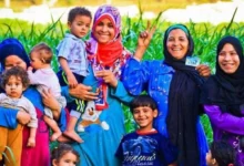 موعد صرف معاش تكافل وكرامة شهر يوليو 2026 للمستحقين (طريقة الاستعلام)