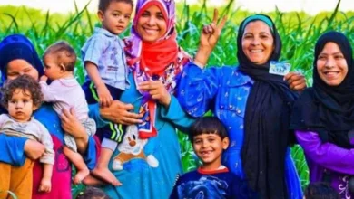 موعد صرف معاش تكافل وكرامة شهر يوليو 2026 للمستحقين (طريقة الاستعلام)