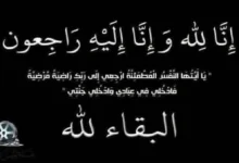 نقابة المهن السينمائية تعلن وفاة المنتج الفني سعد أبوالنصر