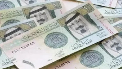هبوط دون الـ14 جنيهًا.. تراجع ملحوظ في سعر الريال السعودي أمام الجنيه بالبنوك المصرية